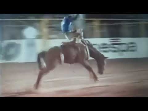 Amarildo Francisco rodeio de fernandopolis Ano 1995.