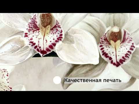 Миниатюра изображения товара Картина Декарт Белая орхидея 8Л1638 (в раме)