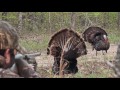 HeadHunters TV Thunder Chicken Throwdown Outdoor Channel