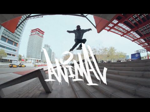 ANIMAL - Carlos Bernal