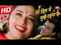 Tere Dil Mein Mujhe Rehna Hai | Mohabbat (1997) | Sanjay Kapoor | Madhuri Dixit |Hindi Romantic Song