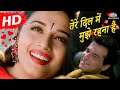 Tere Dil Mein Mujhe Rehna Hai Mohabbat 1997 Sanjay Kapoor Madhuri Dixit Hindi Romantic Song
