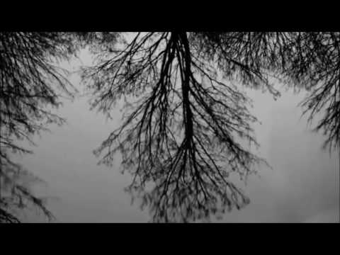 Michael Nyman - A Winged Victory For The Sullen  -  String Quartet No  2, III / Video