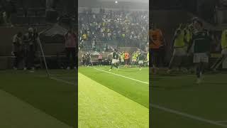 PALMEIRAS 1 X 0 NOVORIZONTINO |GOLS | FINAL |Campeonato Paulista 2026 #shorts