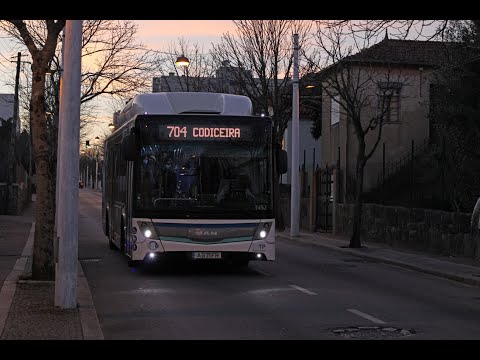 3461 STCP - MAN 18.310 HOCL (A69) caetanobus CityGold CBN070g - Linha / Line 704