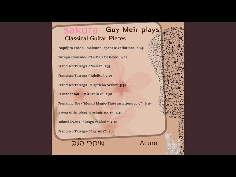 Capricho Árabe, in D Minor