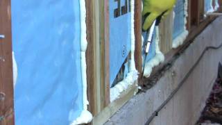 DIY Spray Foam Insulation - Poor Man's Spray Foam