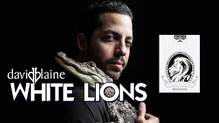 Viewer Question - What decks feel like David Blaine White Lions?