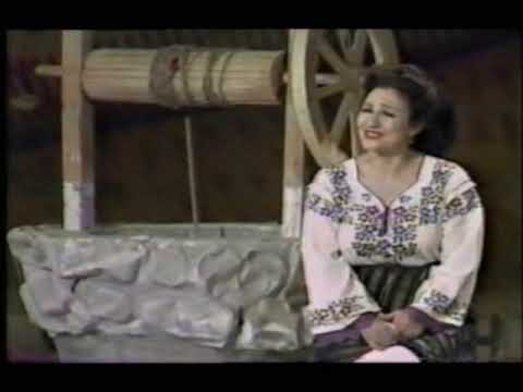 stefania rares populara 1