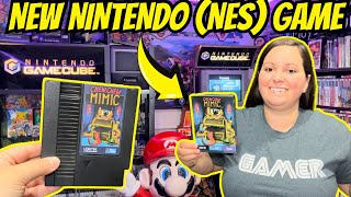 I Can't Believe There Are NEW Nintendo (NES) Games in 2024!
