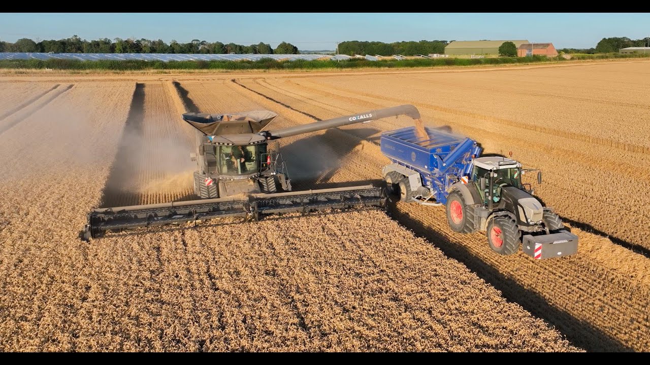 It's Harvest Time! | This Week at Coxalls