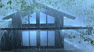 Drift into Dreams and Sleep Quickly with Heavy Rain & Roaring Thunder on Roof in Dim Forest at Night