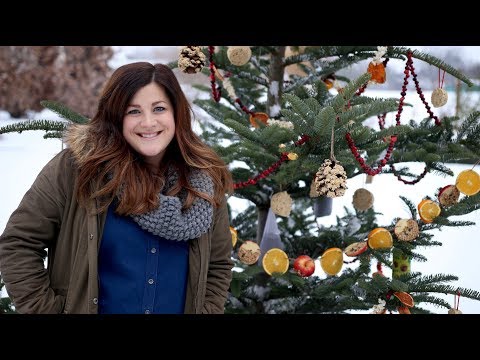 download lagu mp3 mp4 Bird Seed Ornaments Peanut Butter, download lagu Bird Seed Ornaments Peanut Butter gratis, unduh video klip Bird Seed Ornaments Peanut Butter