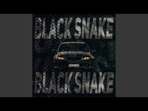 Black Snake