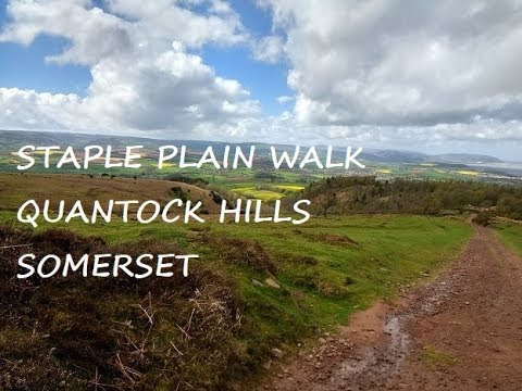 The Quantock Hills | Staple Plain Walk (West Quantoxhead) Somerset