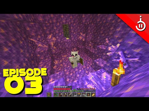 Dumbcraft 2: Episode #3 - MY FIRST AMETHYST CAVE!!!