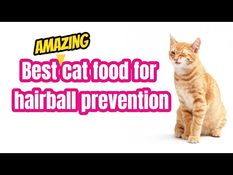 5 Best Proven cat foods for hairball prevention
