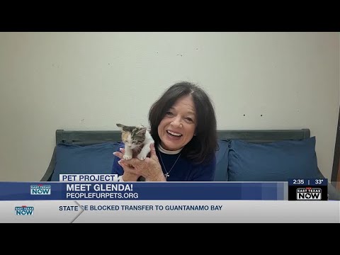 Pet Project: Glenda