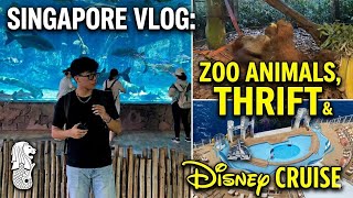 Singapore Vlog | Zoo Animals, Thrift & Disney Cruise