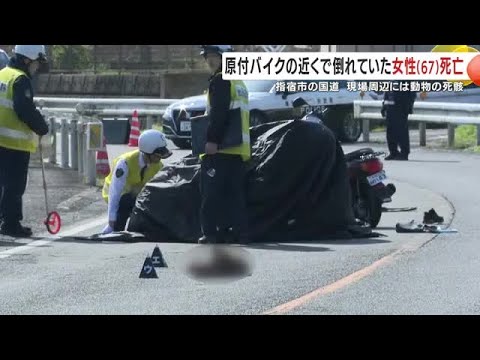 早朝の国道で67歳女性が死亡　「横転バイク＋動物の死骸」何が起きたのか　原因捜査中 (26/03/09 19:40)