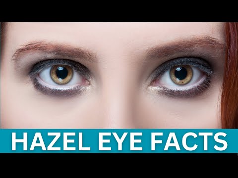 Hazel Eye Facts | Facts about People with Hazel Eyes | Eye Color Facts