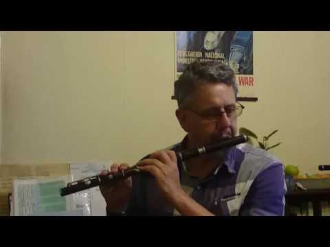 As-received demo of Buffet Crampon 8-key F flute