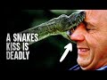 6 Snake Attacks You Wish you Never Saw