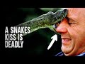 6 Snake Attacks You Wish You Never Saw