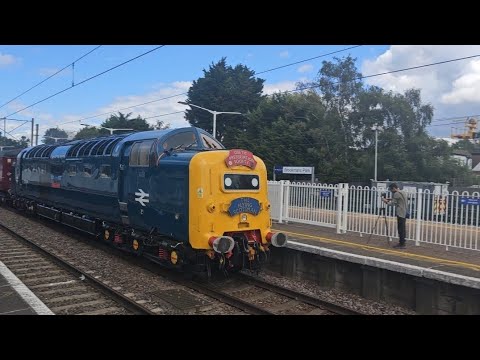 1Z20 - D9009 Alycidon (55009) passing Brookmans Park - 29/07/23
