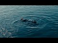 Séquence Yours Prod Laminor Beatz Official MV