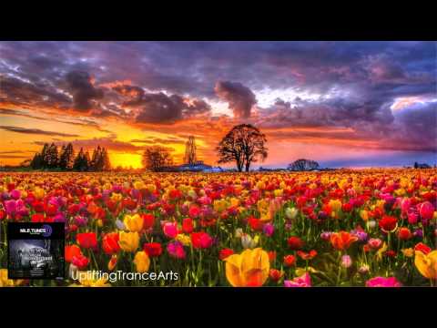 Pete Silver - Welcome To Wonderland (Original Mix)【HD】