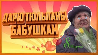 ПОДАРИЛ 150 ТЮЛЬПАНОВ БАБУШКАМ и ПОЗДРАВИЛ С 8 МАРТА
