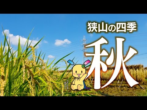 狭山市　狭山の四季秋