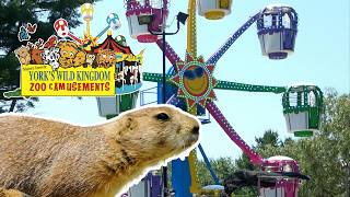 York's Wild Kingdom (Maine Amusement Park & Zoo) Tour & Review