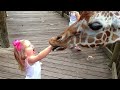 Adorable Babies Meeting Animals In Zoo And Village Funniest Home Videos