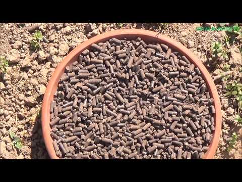 NAWOŻENIE JABŁONKI NA DZIAŁCE