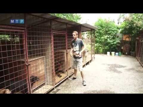 Človek - najlepší priateľ psa?