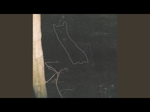Video thumbnail for walking behind