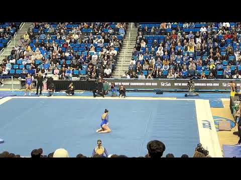 Brooklyn Moors Floor Exhibition 03/05/23