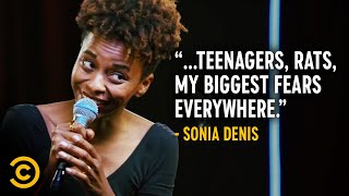 New York City Is Terrifying - Sonia Denis