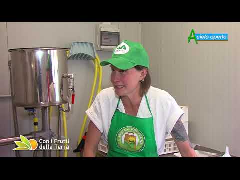 Puntata del 1/8/21 –  3° parte – I formaggi della fattoria di Athena