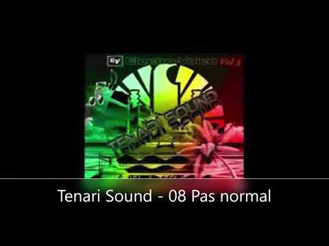 Tenari Sound - 08 Pas normal