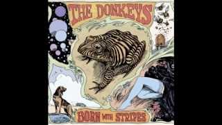 The Donkeys - I like the way you walk