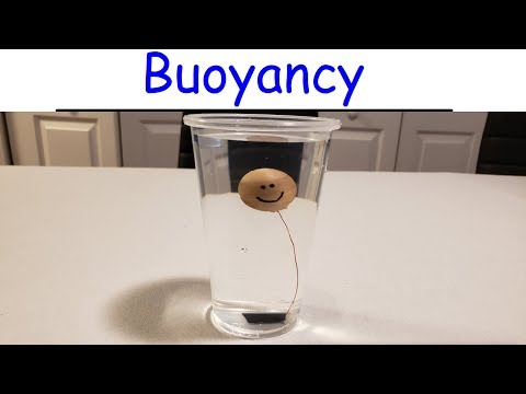 Physics Basic Introduction