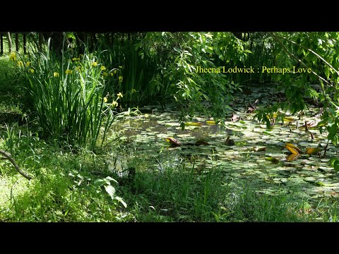 Jheena Lodwick : Perhaps Love