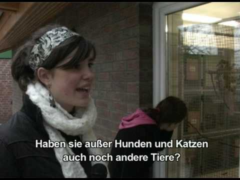 Deutsch - Nicole möchte ein Haustier haben (mit Untertiteln)