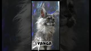 Vanga video