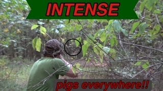 INTENSE HOG SNEAK!! PIG(S) DOWN