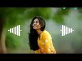 Tor Odhani To Udi Udi Jaaye Gana Nagpuri Song DJ