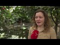 Almere Jungle is het dumpen van schildpadden beu
